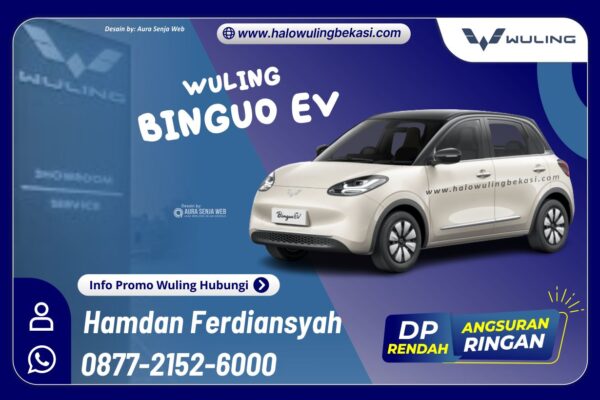 BINGUO EV