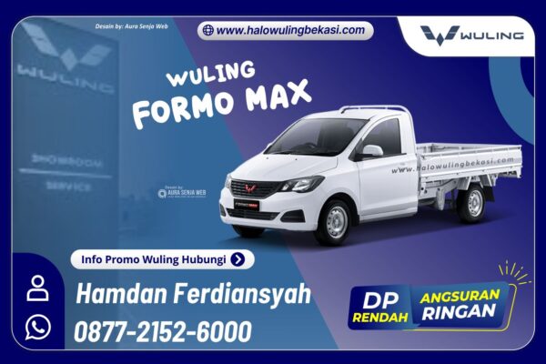 FORMO MAX